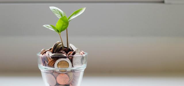 coins in a cup with growing plant